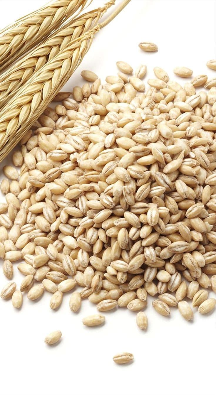 Barley