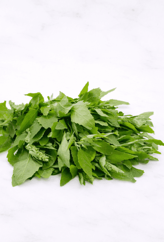Bathua (lamb’s quarters / chenopodium)