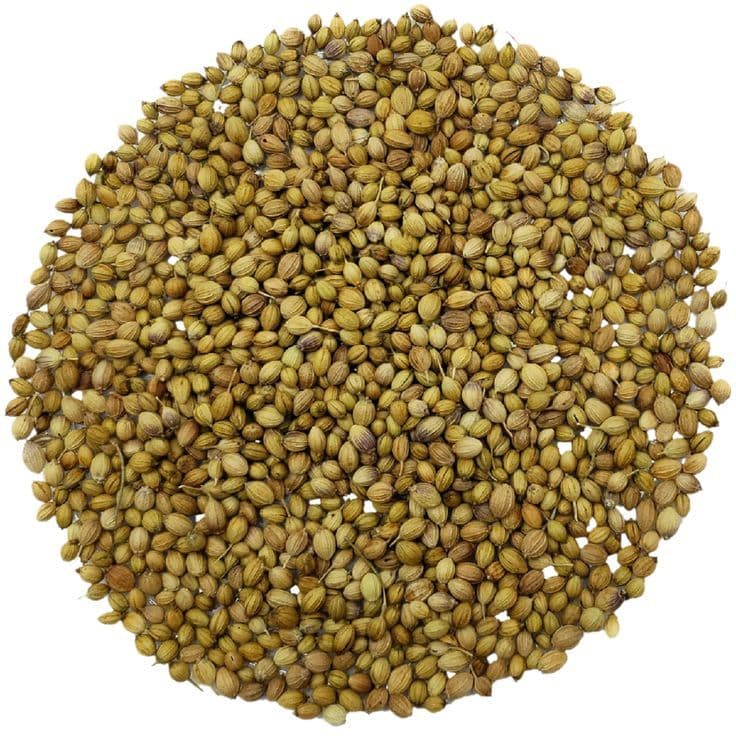 Coriander seeds