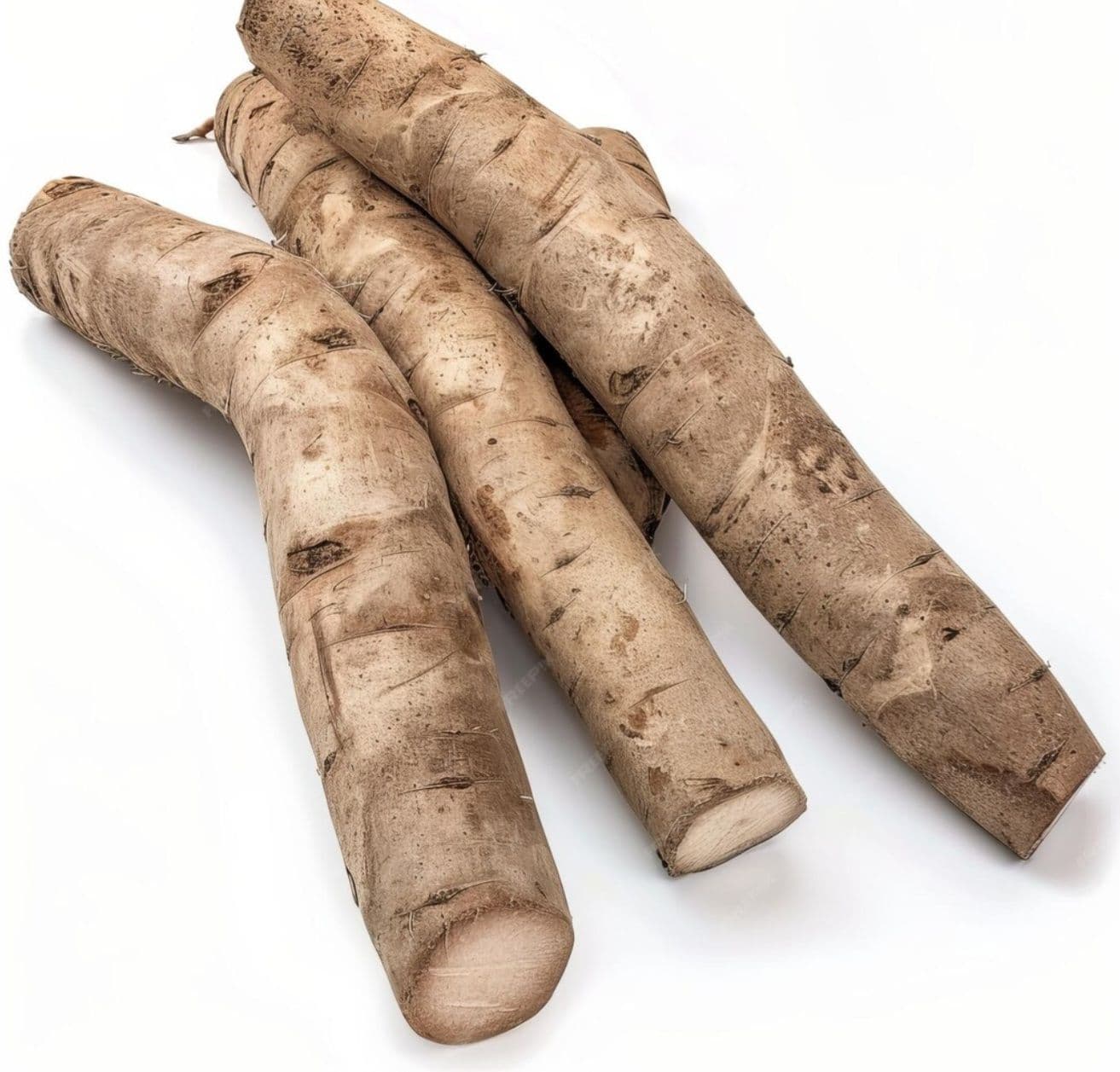 Arrowroot