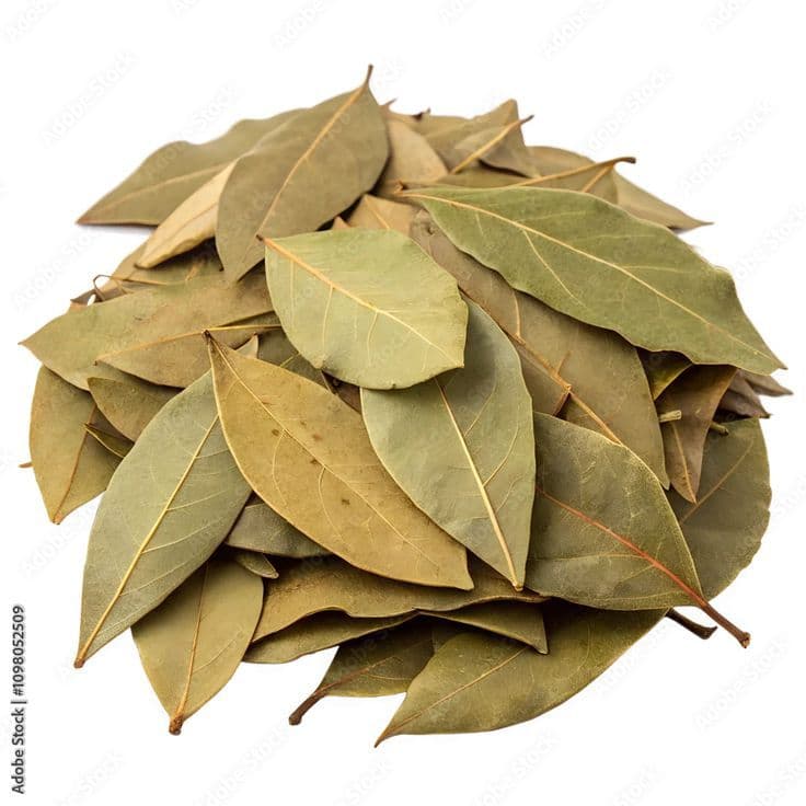Bay leaves