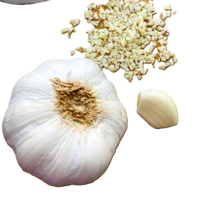 Garlic