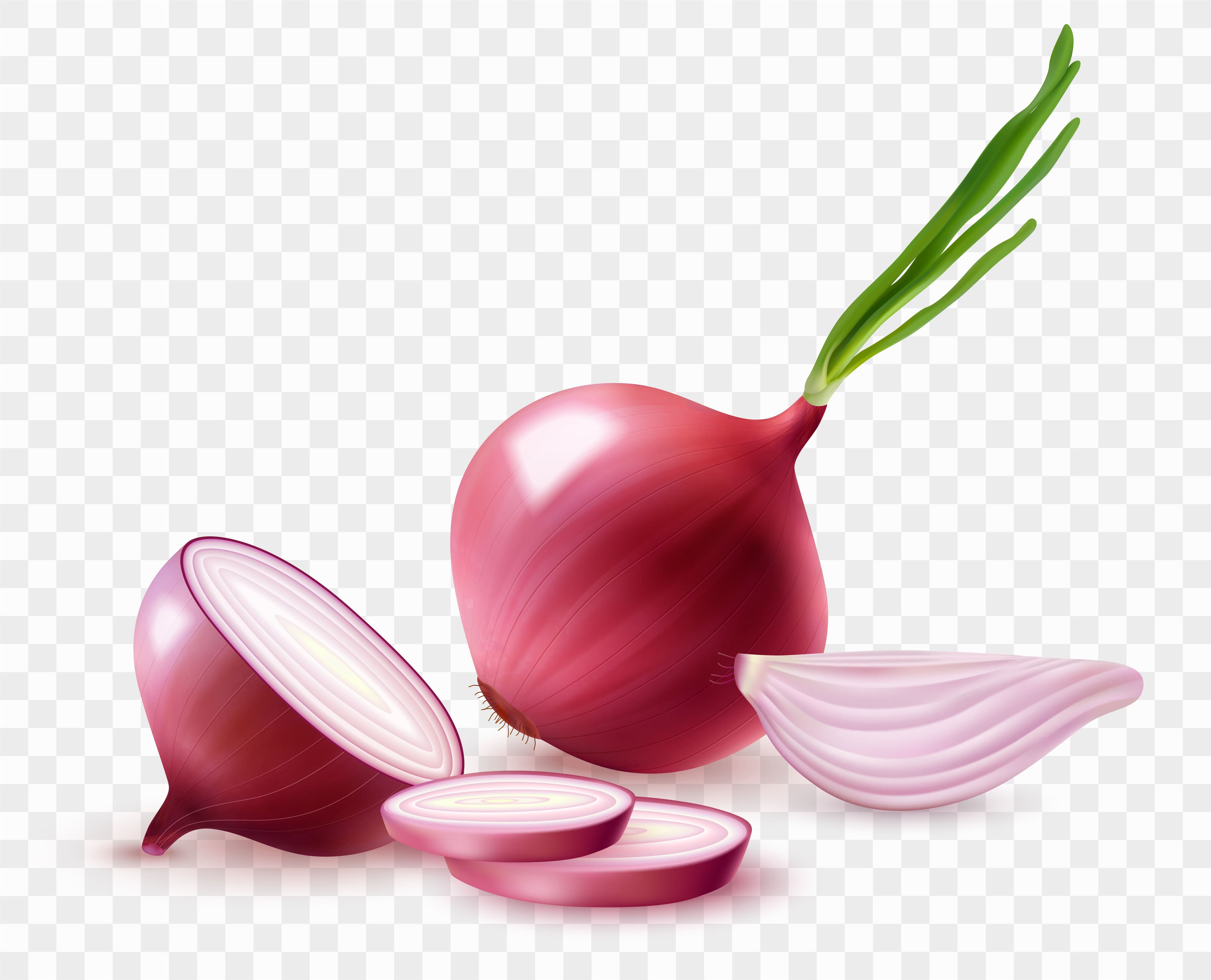 Onion