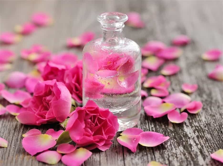 Rose syrup